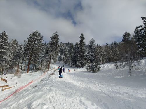 A snowy landscape with people sledding and tall pine trees under a cloudy sky.