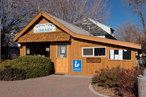 A small wooden library building with a sloped roof, surrounded by shrubs and trees, under a clear blue sky.