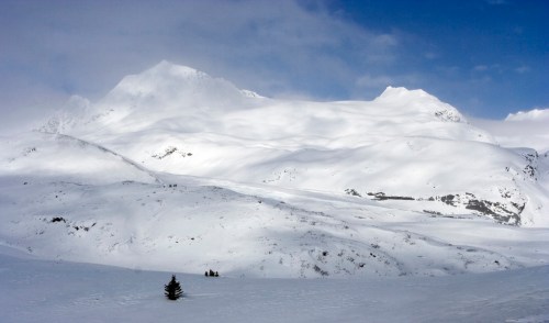 A snowy mountain landscape under a blue sky, with gentle slopes and a single tree in the foreground.