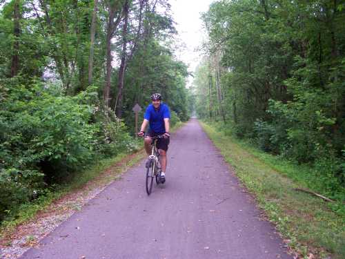 A cyclist rides on a tree-lined path surrounded by greenery.