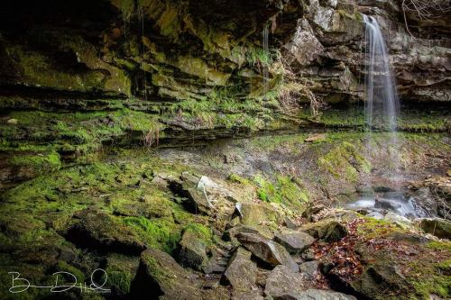 A serene waterfall cascades over moss-covered rocks in a lush, green forest setting.