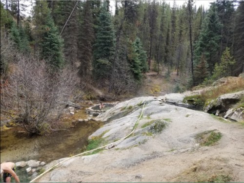 A rocky landscape with a stream, surrounded by trees and a sparse forest in the background.