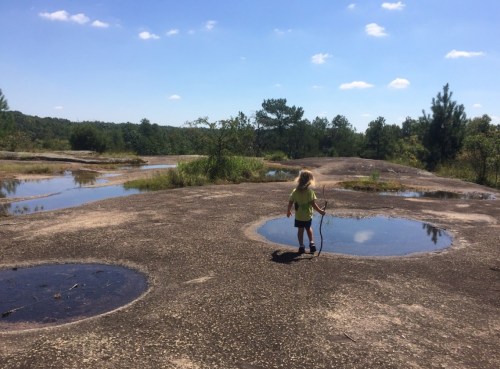 A child walks on a rocky landscape with puddles, surrounded by trees and blue sky.