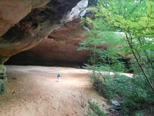 A sandy cave entrance surrounded by lush greenery and trees, with a person walking inside the cave.