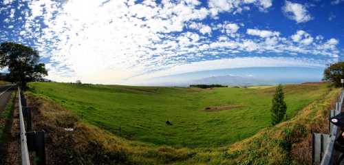 A panoramic view of a lush green field under a bright blue sky with scattered clouds.