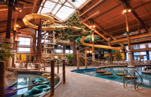 Indoor water park featuring slides, a pool, and seating areas surrounded by trees and natural decor.