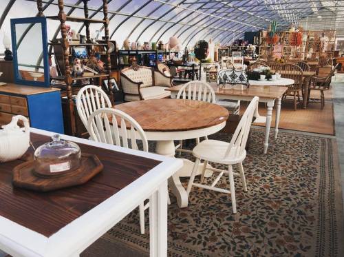 A cozy furniture store interior featuring wooden tables, chairs, and decorative items in a spacious, well-lit setting.