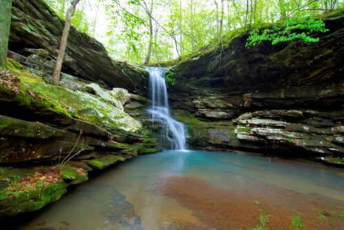 A serene waterfall cascades over moss-covered rocks into a tranquil pool, surrounded by lush green trees.