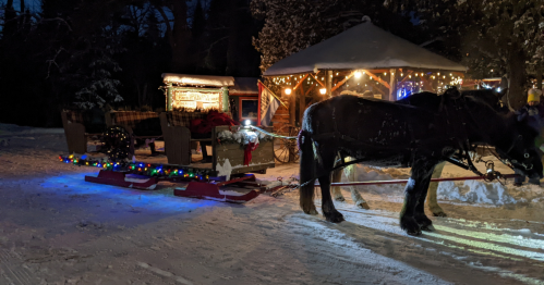 A horse-drawn sleigh with colorful lights parked near a cozy, illuminated cabin in a snowy landscape at night.