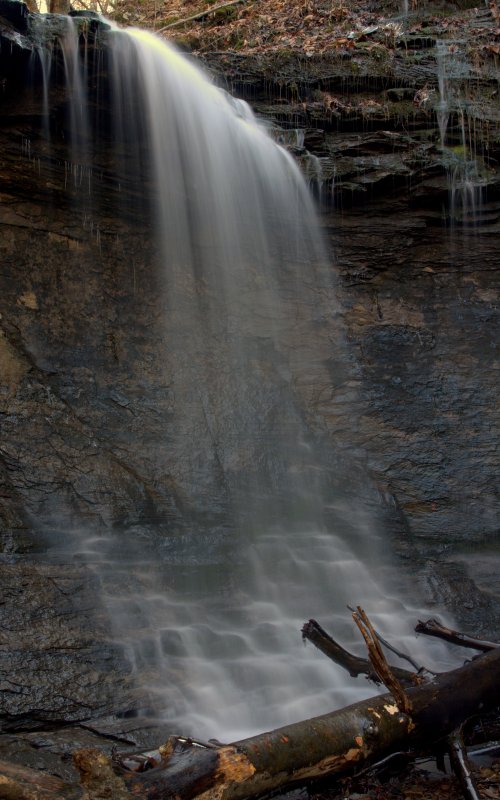 A serene waterfall cascades over rocky cliffs, surrounded by moss and fallen branches in a tranquil forest setting.