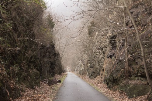 A narrow, winding road flanked by rocky cliffs and bare trees, shrouded in mist.