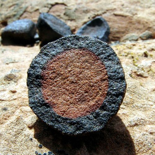 Close-up of a round, textured rock with a dark outer layer and a lighter, smooth center, set against a rocky background.