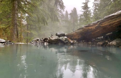 A serene hot spring surrounded by misty trees and rocks, reflecting the tranquil water surface.