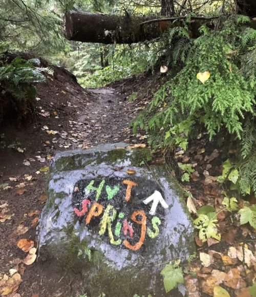A colorful rock sign points the way to "Hot Springs" along a forested trail, surrounded by lush greenery and fallen leaves.