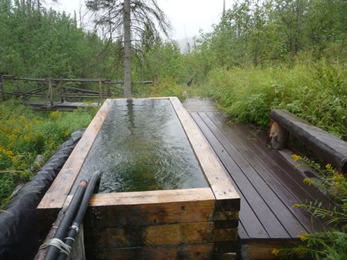 A wooden hot tub filled with water, surrounded by lush greenery and a wooden deck in a natural setting.