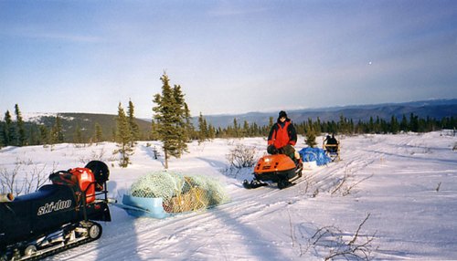 A person on a snowmobile pulls a sled through a snowy landscape with trees and mountains in the background.
