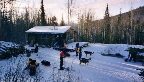 A snowy landscape with a wooden cabin, people preparing sleds, and dogs in a forested area.