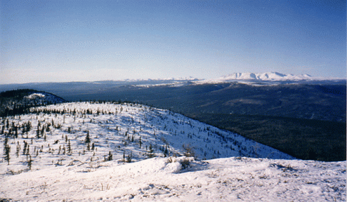 Snow-covered mountains and valleys under a clear blue sky, with scattered trees on the slopes.