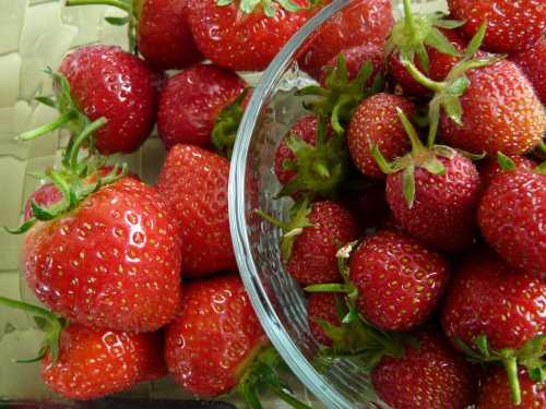 A bowl of fresh, ripe strawberries surrounded by more strawberries on a textured surface.