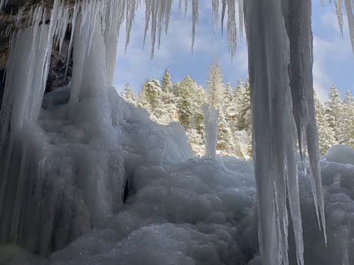 Icicles hang from a rocky cave, with a snowy forest visible in the background under a clear blue sky.