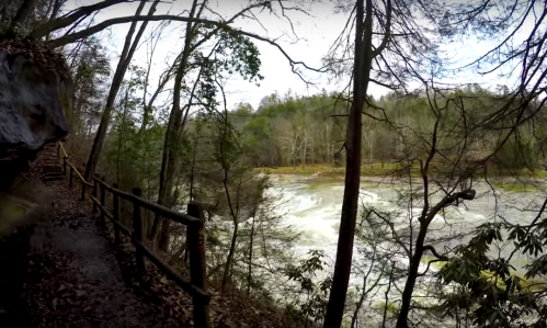 A scenic view of a river surrounded by trees, with a wooden railing along a path in the foreground.