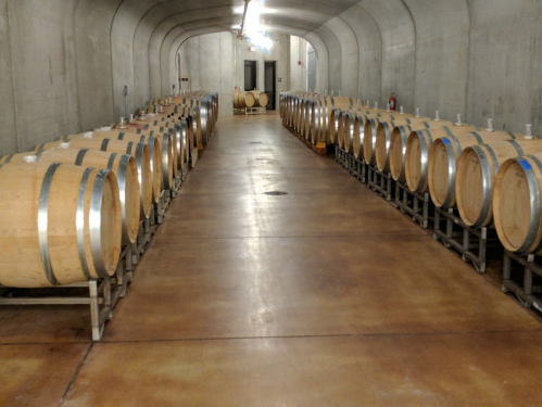 A dimly lit wine cellar with rows of wooden barrels on metal racks along a concrete wall.