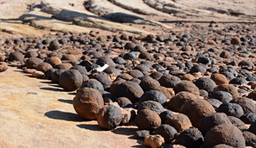 A close-up view of spherical rock formations scattered across a sandy surface, showcasing various sizes and textures.
