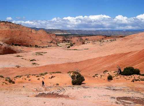 A vast desert landscape with red sand, sparse vegetation, and distant mountains under a blue sky with clouds.