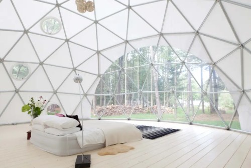 A spacious, modern geodesic dome interior with a bed, large windows, and natural light, surrounded by greenery.