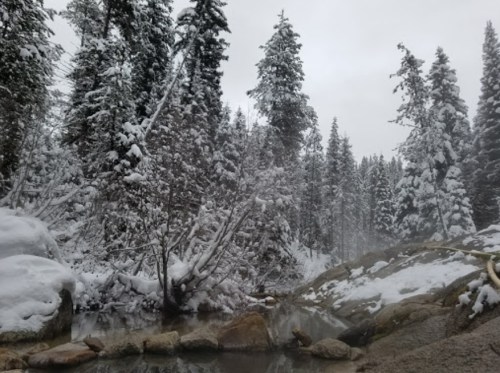 A snowy landscape with tall trees, a steaming hot spring, and rocky terrain under a cloudy sky.
