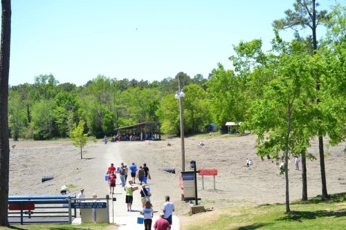 A sunny day at a park with people walking towards a gathering area surrounded by trees and open land.