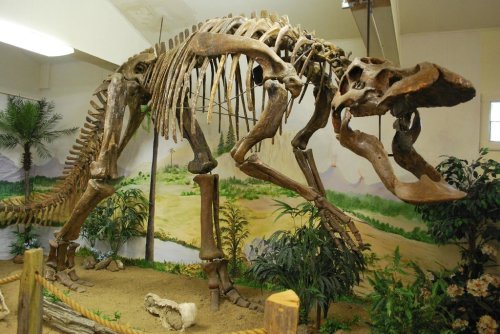 A large dinosaur skeleton displayed in a museum, surrounded by plants and a painted prehistoric landscape.