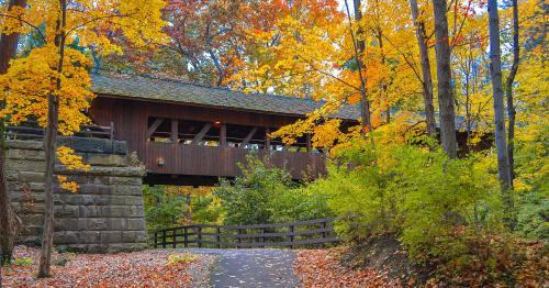 A covered bridge surrounded by vibrant autumn foliage and a winding path in a serene forest setting.