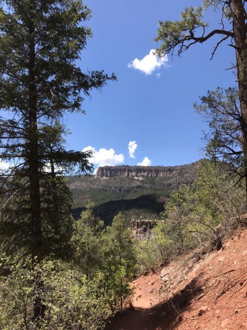 A scenic view of a trail surrounded by trees, leading to a rocky cliff under a blue sky with fluffy clouds.