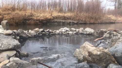 A serene river scene with a rocky shoreline and sparse vegetation along the water's edge.