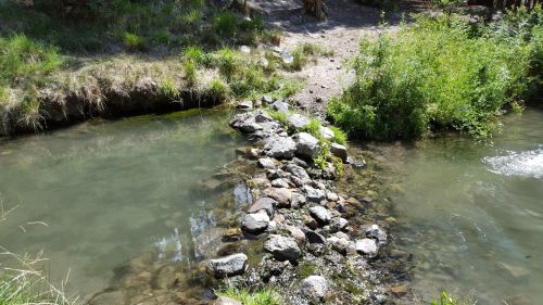 A rocky path crosses a clear stream, surrounded by lush green grass and plants in a serene natural setting.
