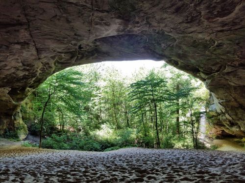 A sandy cave entrance frames a lush green forest with trees and sunlight filtering through.