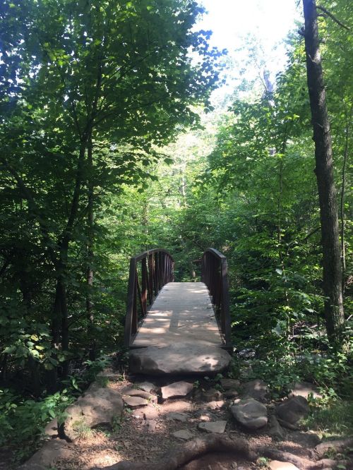 A small bridge made of stone and metal spans a lush, green forest path surrounded by trees.