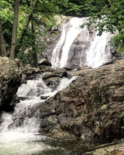 A serene waterfall cascading over rocky terrain, surrounded by lush green trees and foliage.