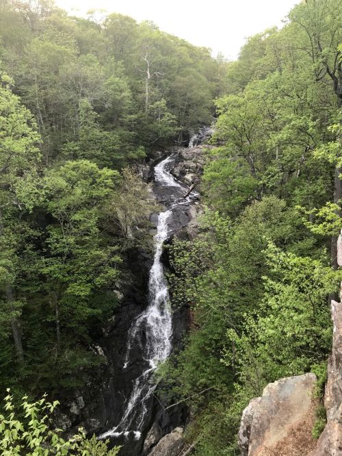 A cascading waterfall flows through lush green trees and rocky terrain in a serene natural setting.
