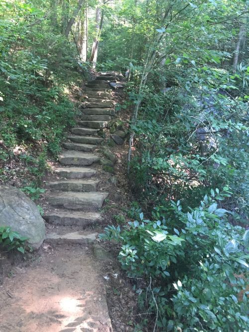 Stone steps lead up a wooded path, surrounded by lush greenery and trees.