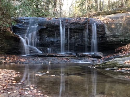 A serene waterfall cascades over rocks into a calm pool, surrounded by trees and fallen leaves.