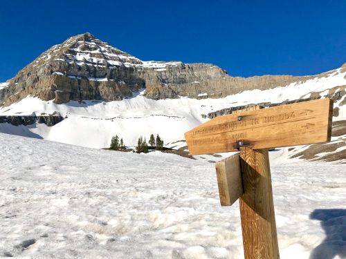 A wooden signpost points towards a snowy mountain landscape under a clear blue sky.