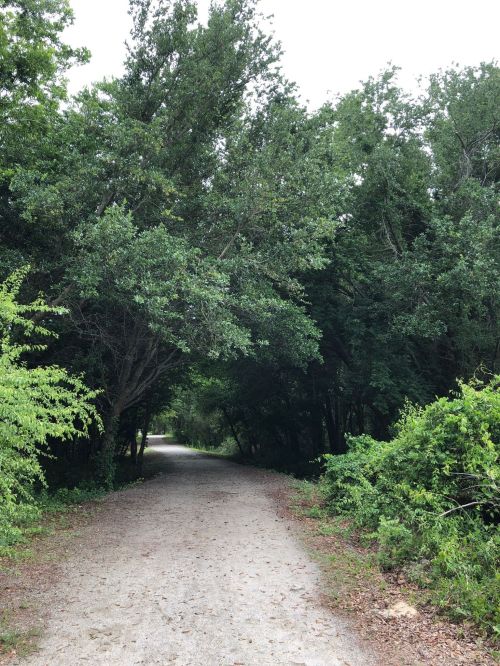 A gravel path winding through lush greenery and trees, creating a serene, natural setting.