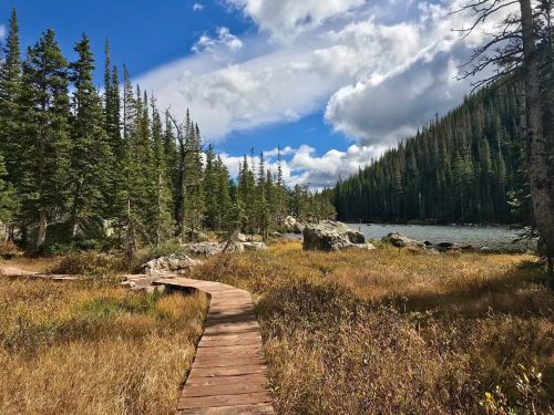 A wooden path winds through a grassy area, surrounded by tall trees and a serene lake under a blue sky with clouds.