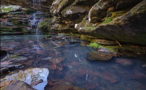 A serene pool of water surrounded by mossy rocks and fallen leaves, with a gentle waterfall in the background.