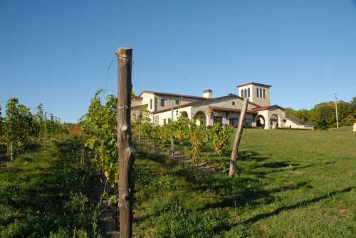 A vineyard with rows of grapevines in the foreground and a large, elegant building in the background under a clear blue sky.