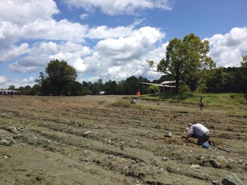 A group of people digging in a dry, muddy field under a blue sky with scattered clouds and trees in the background.