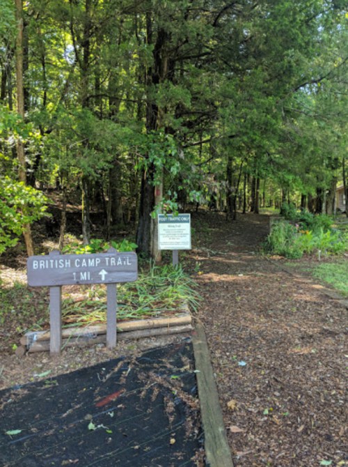 Sign for British Camp Trail surrounded by lush green trees and a pathway leading into the woods.