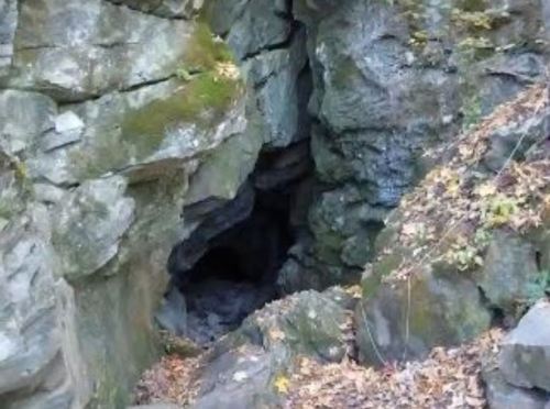 A rocky cave entrance surrounded by moss and fallen leaves, set in a natural landscape.